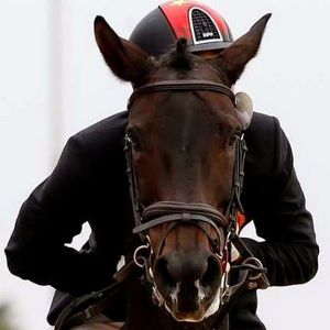 Meet your Posher, Tonia